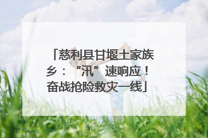 慈利县甘堰土家族乡：“汛”速响应！奋战抢险救灾一线