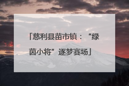 慈利县苗市镇：“绿茵小将”逐梦赛场