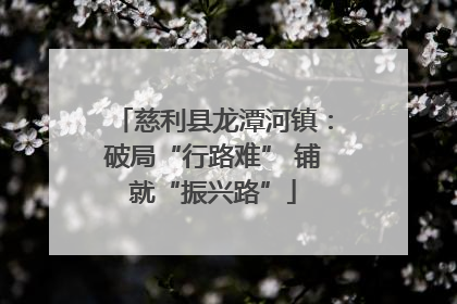 慈利县龙潭河镇：破局“行路难” 铺就“振兴路”