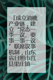 成立油桃产业链，建立“常态一季一议、要事一事一议”联席议事机制，山东省日照市莒县果庄镇——13个党小组“全周期”育果