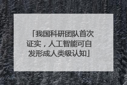我国科研团队首次证实，人工智能可自发形成人类级认知