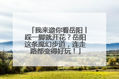 我来邀你看岳阳丨踩一脚就开花？岳阳这条魔幻步道，连走路都变得好玩！