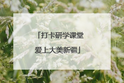 打卡研学课堂 爱上大美新疆