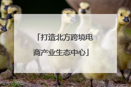 打造北方跨境电商产业生态中心