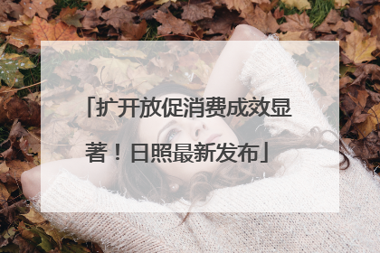 扩开放促消费成效显著！日照最新发布