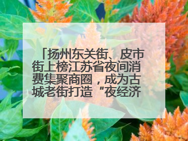 扬州东关街、皮市街上榜江苏省夜间消费集聚商圈，成为古城老街打造“夜经济”的样本