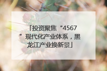 投资聚焦“4567”现代化产业体系，黑龙江产业换新景