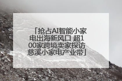 抢占AI智能小家电出海新风口 超100家跨境卖家探访慈溪小家电产业带