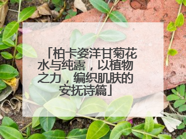 柏卡姿洋甘菊花水与纯露，以植物之力，编织肌肤的安抚诗篇