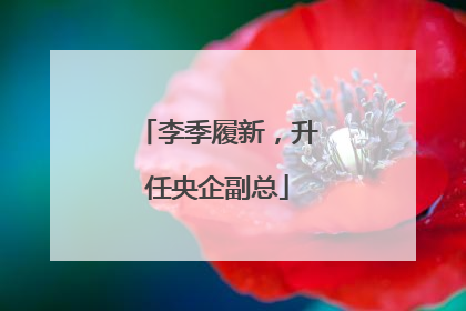 李季履新，升任央企副总