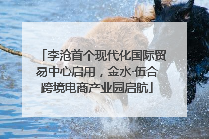 李沧首个现代化国际贸易中心启用，金水·伍合跨境电商产业园启航