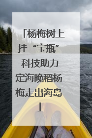 杨梅树上挂“宝瓶” 科技助力定海晚稻杨梅走出海岛