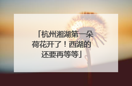杭州湘湖第一朵荷花开了！西湖的还要再等等