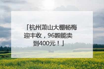 杭州萧山大棚杨梅迎丰收，96颗能卖到400元！