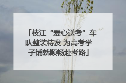 枝江“爱心送考”车队整装待发 为高考学子铺就顺畅赴考路