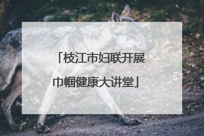 枝江市妇联开展巾帼健康大讲堂