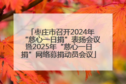 枣庄市召开2024年“慈心一日捐”表扬会议暨2025年“慈心一日捐”网络募捐动员会议
