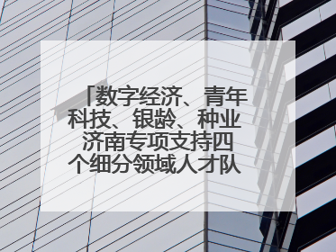 数字经济、青年科技、银龄、种业 济南专项支持四个细分领域人才队伍建设