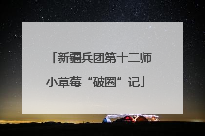 新疆兵团第十二师小草莓“破圈”记
