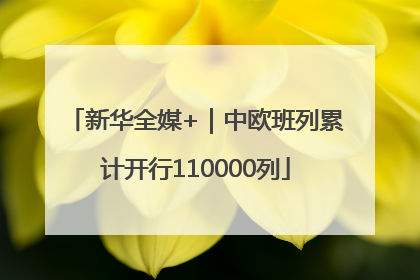 新华全媒+｜中欧班列累计开行110000列