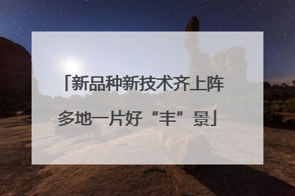 新品种新技术齐上阵 多地一片好“丰”景