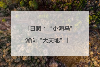 日照：“小海马”游向“大天地”