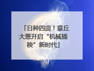 日种四亩！章丘大葱开启“机械插秧”新时代