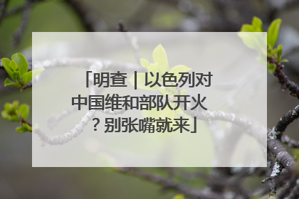 明查｜以色列对中国维和部队开火？别张嘴就来