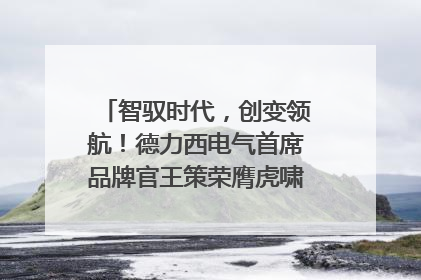 智驭时代，创变领航！德力西电气首席品牌官王策荣膺虎啸奖年度品牌人物