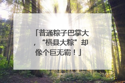 普通粽子巴掌大，“横县大粽”却像个巨无霸！