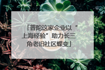 普陀这家企业以“上海经验”助力长三角老旧社区蝶变