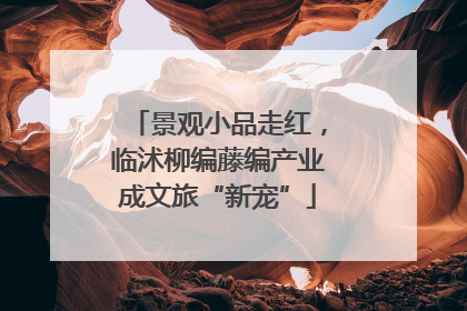 景观小品走红，临沭柳编藤编产业成文旅“新宠”