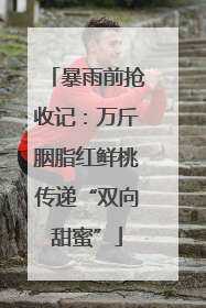 暴雨前抢收记：万斤胭脂红鲜桃传递“双向甜蜜”