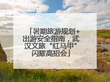 暑期旅游规划+出游安全指南，武汉文旅“红马甲”闪耀高招会