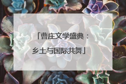曹庄文学盛典：乡土与国际共舞