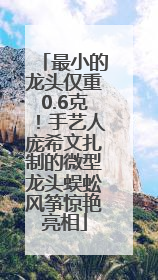 最小的龙头仅重0.6克！手艺人庞希文扎制的微型龙头蜈蚣风筝惊艳亮相