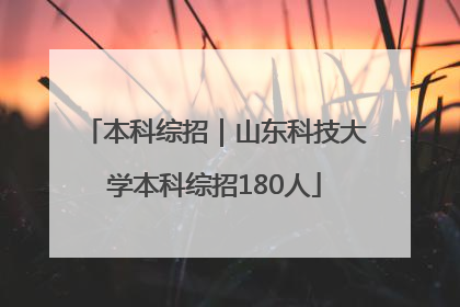 本科综招｜山东科技大学本科综招180人