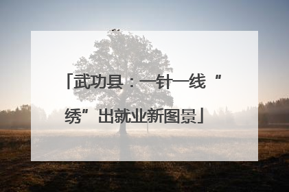 武功县：一针一线“绣”出就业新图景