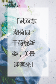 武汉东湖荷园：千荷绽新姿，美景迎客来