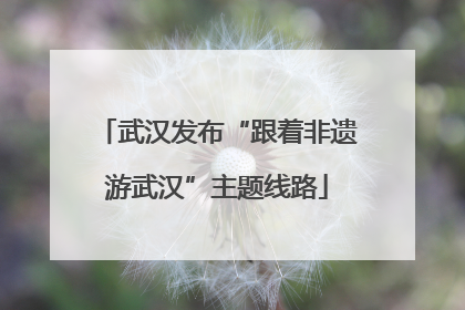 武汉发布“跟着非遗游武汉”主题线路