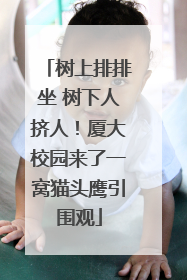 树上排排坐 树下人挤人！厦大校园来了一窝猫头鹰引围观