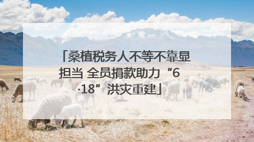 桑植税务人不等不靠显担当 全员捐款助力“6·18”洪灾重建