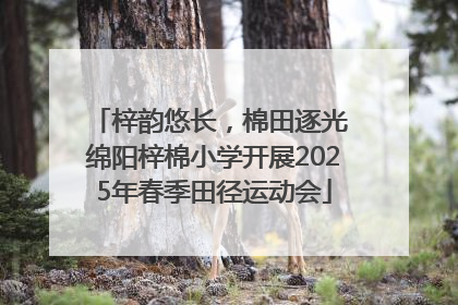 梓韵悠长，棉田逐光 绵阳梓棉小学开展2025年春季田径运动会