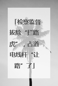 检察监督拔除“拦路虎”，占道电线杆“让路”了
