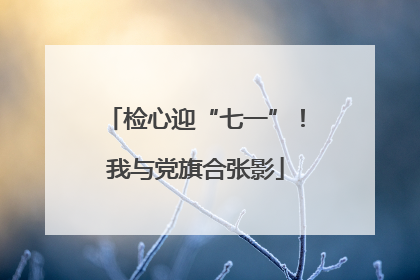 检心迎“七一”！我与党旗合张影