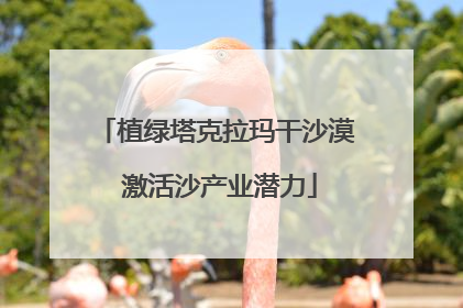 植绿塔克拉玛干沙漠 激活沙产业潜力