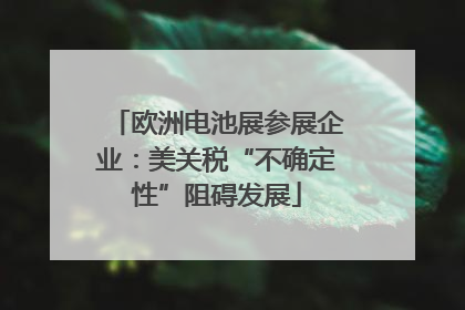 欧洲电池展参展企业：美关税“不确定性”阻碍发展