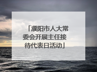 濮阳市人大常委会开展主任接待代表日活动