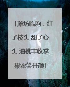 潍坊临朐：红了枝头 甜了心头 油桃丰收季果农笑开颜
