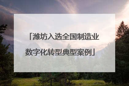 潍坊入选全国制造业数字化转型典型案例